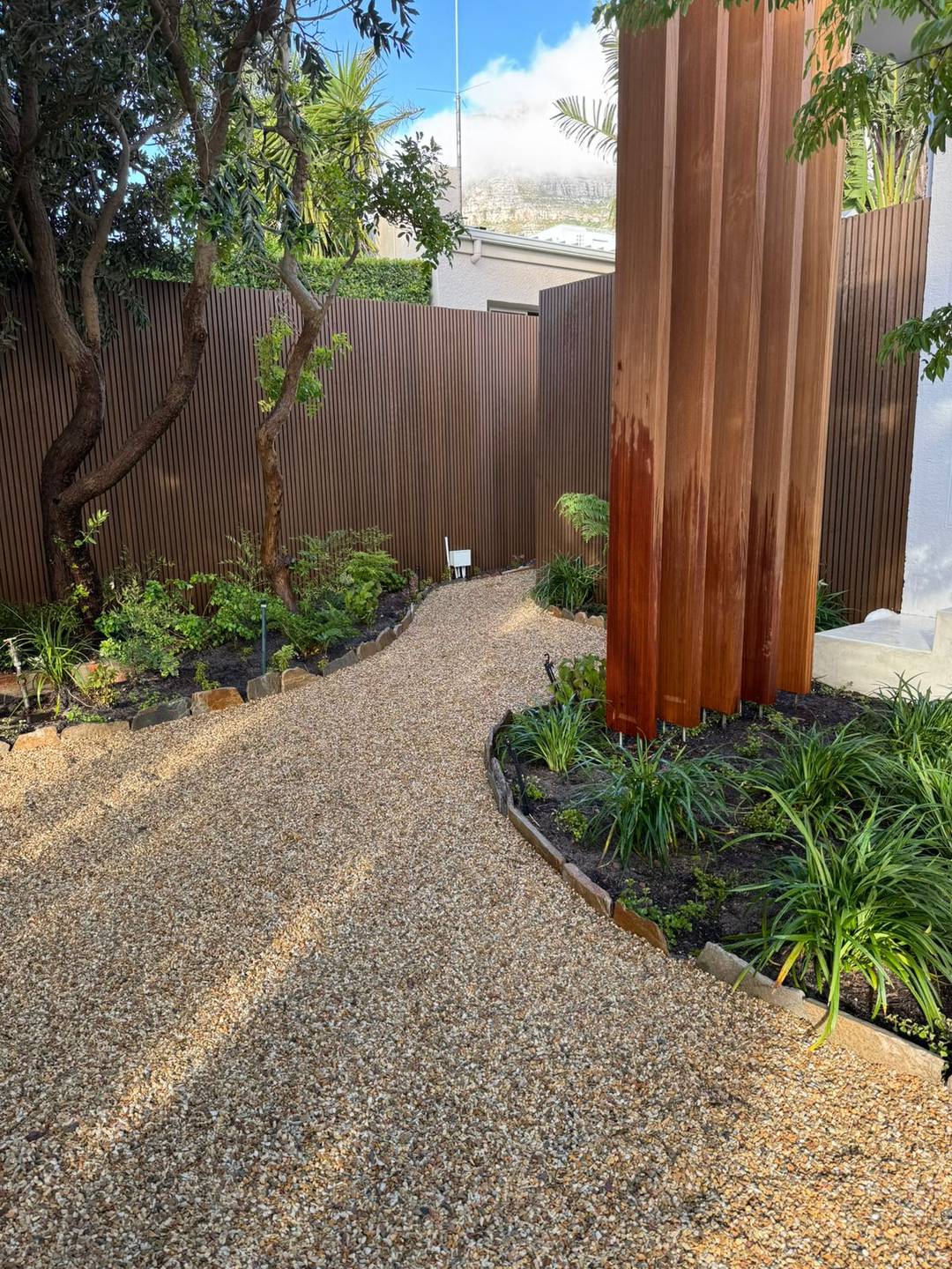 Gravel path curving past a corten steel screen and fence with fresh planting along its edge