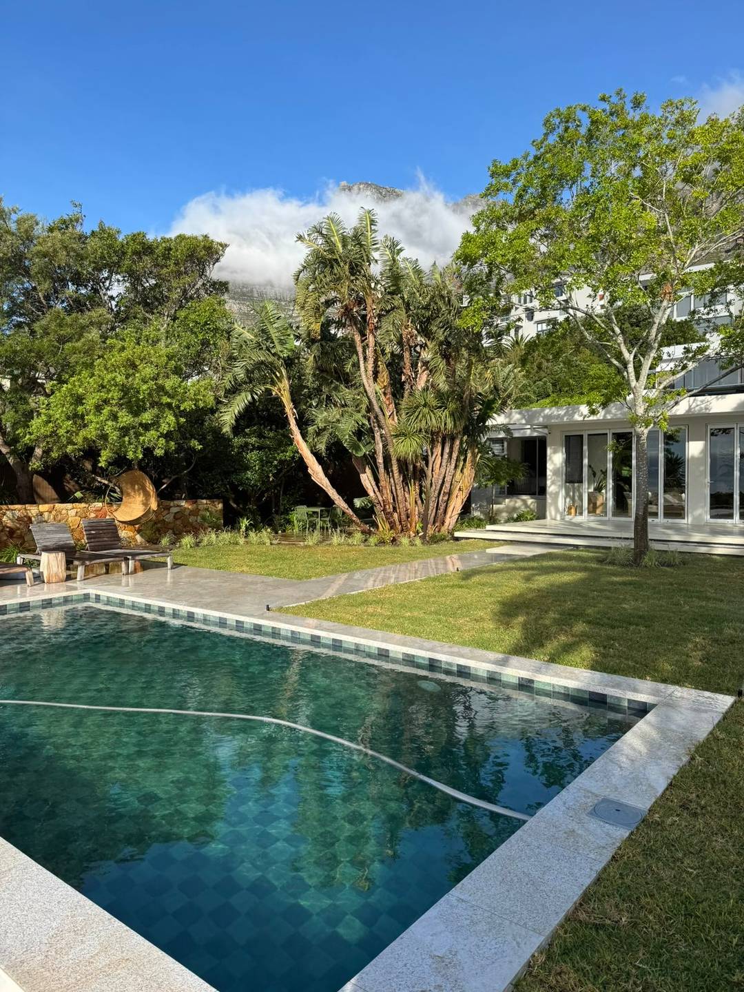 Checkerboard-tiled pool in the foreground with a sculptural dragon tree and the house behind
